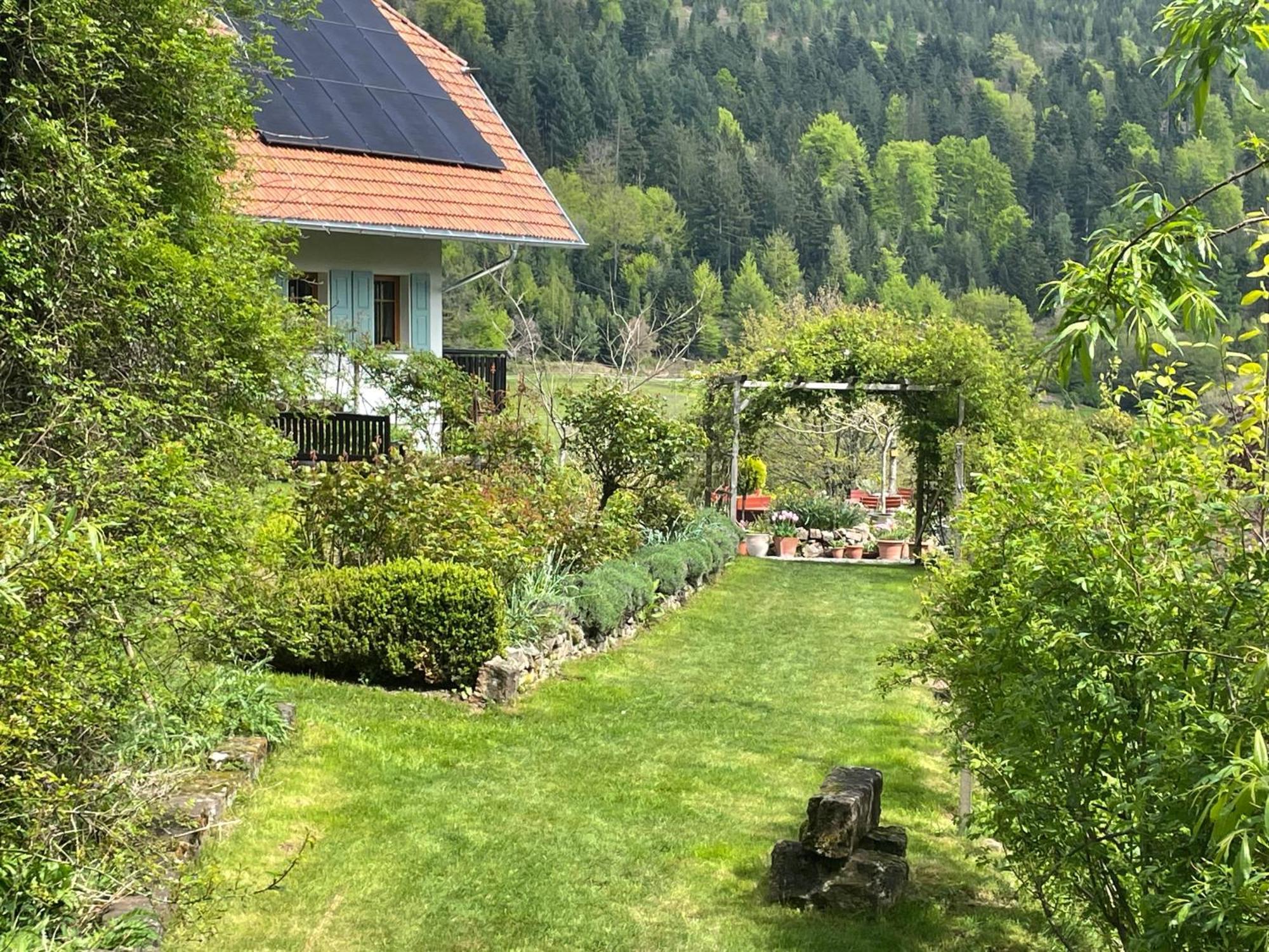 The Moosbach Garden Guest House Nordrach Exterior photo